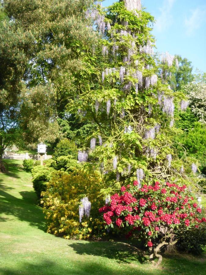Chart House Bed And Breakfast Dorking Exteriér fotografie